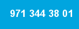 971 344 38 01